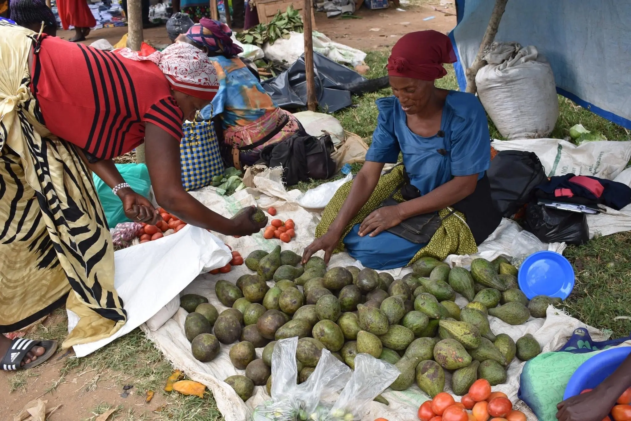 Micro-Credit Program